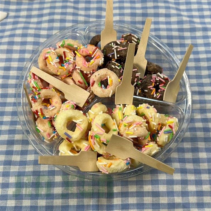 Disposable Small Tasting Spoons